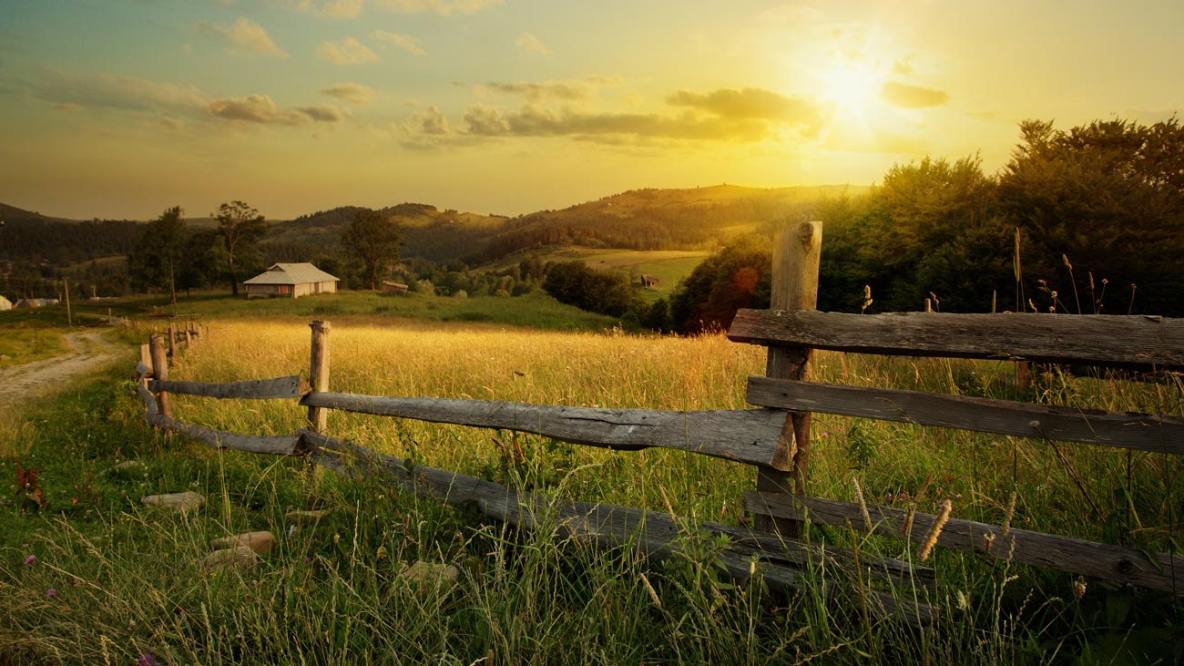 Farm field sunset AdobeStock_126216129