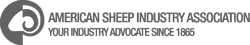 ASI Logo Gray