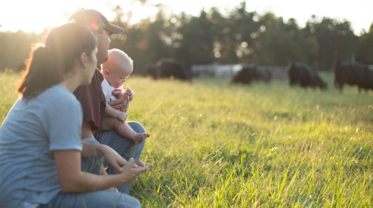 Family in field with cattle